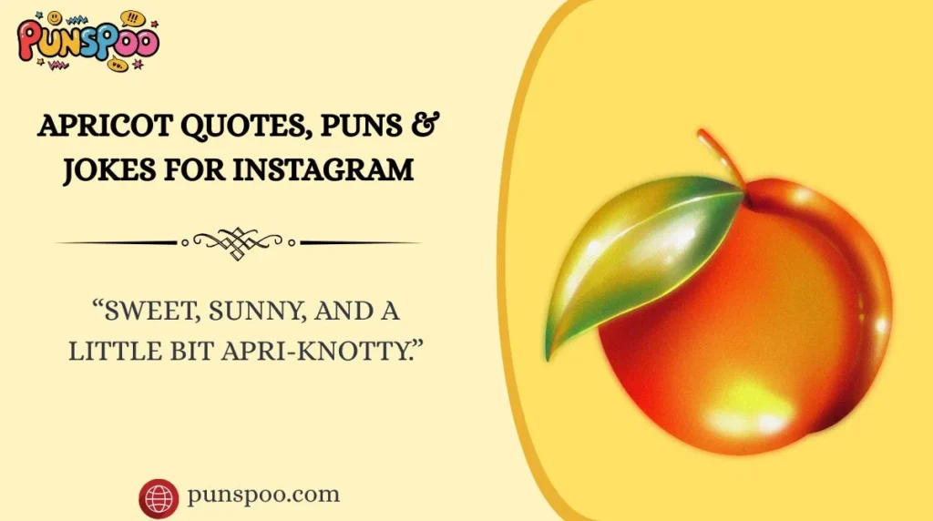 Apricot Quotes, Puns & Jokes for Instagram