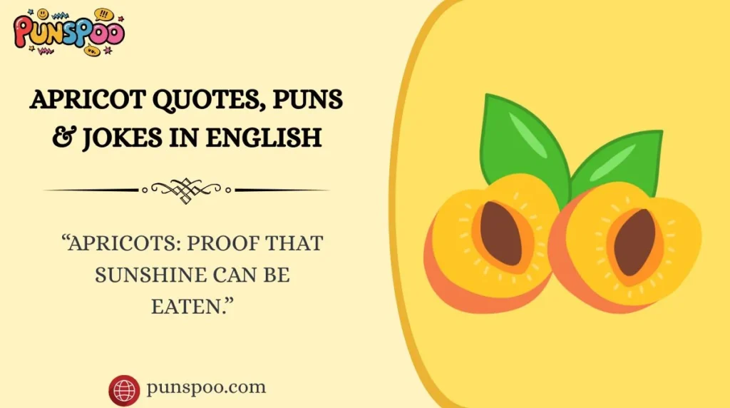 Apricot Quotes, Puns & Jokes in English