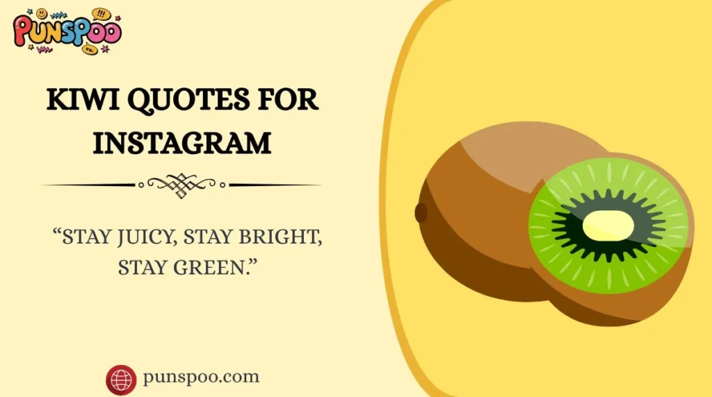 Kiwi Quotes for Instagram