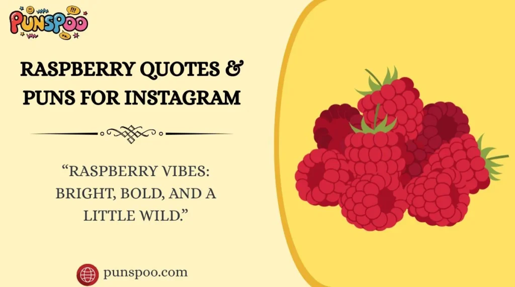 Raspberry Quotes & Puns for Instagram