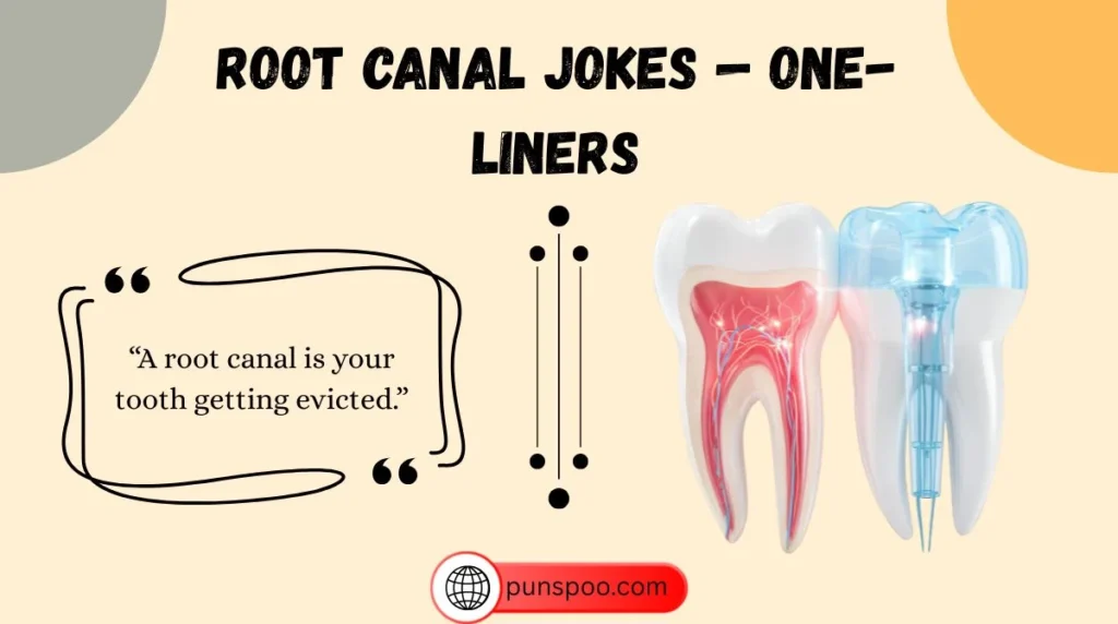 Root Canal Jokes — One-Liners