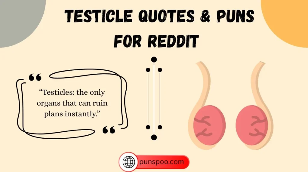 Testicle Quotes & Puns for Reddit