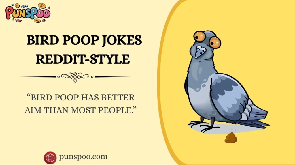 Bird Poop Jokes Reddit-Style