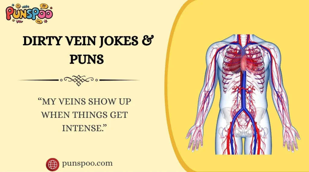 Dirty Vein Jokes & Puns