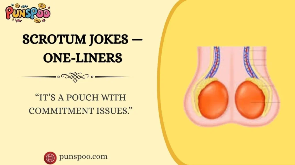 Scrotum Jokes — One-Liners