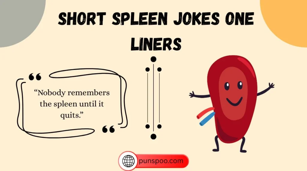 Short Spleen Jokes One Liners