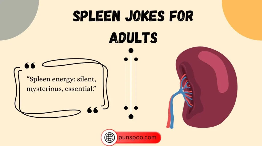 Spleen Jokes for Adults