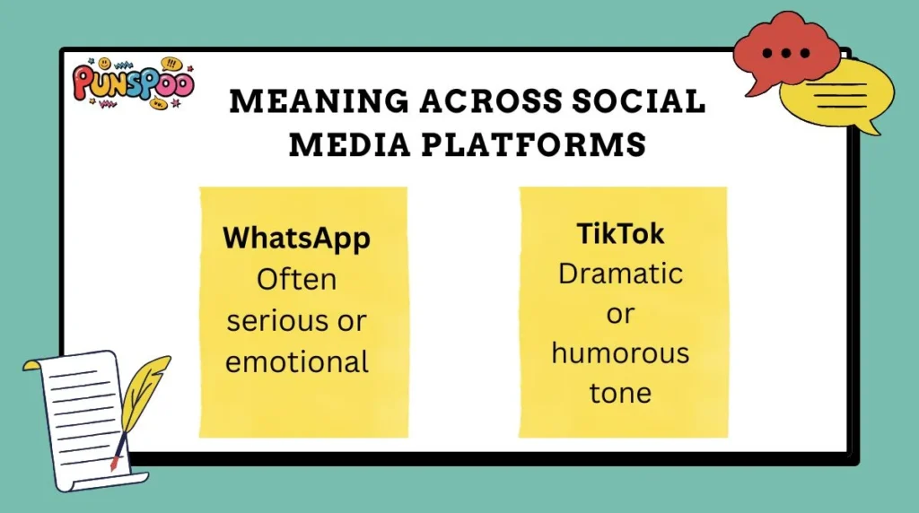 Meaning Across Social Media Platforms