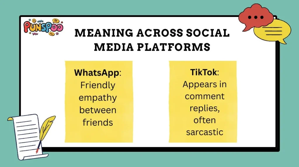 Meaning Across Social Media Platforms