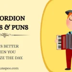 Accordion Jokes & Puns