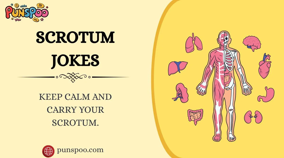 Scrotum Jokes