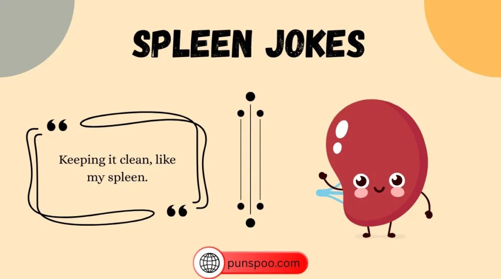 Spleen Jokes