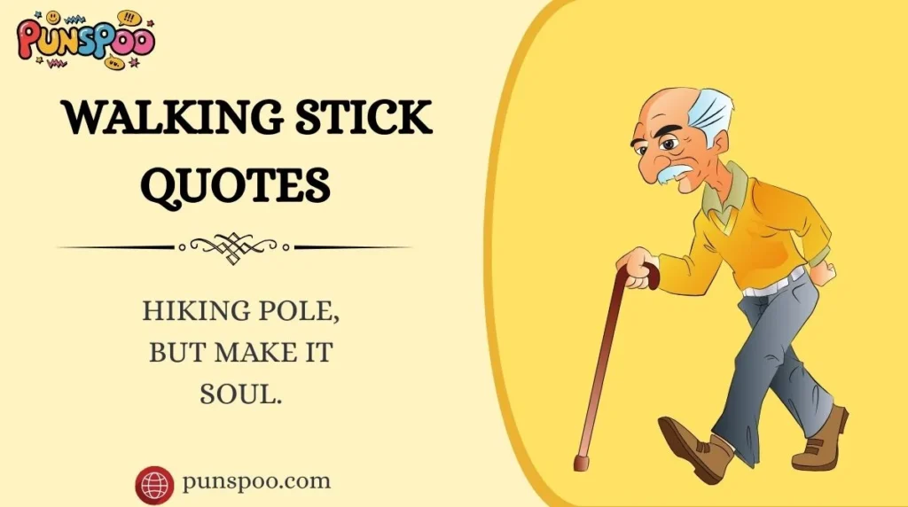 Walking Stick Quotes