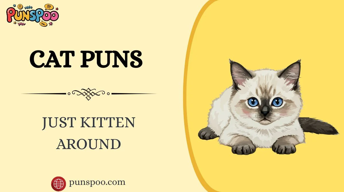 Cat Puns
