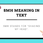 SMH stands for “Shaking My Head”.
