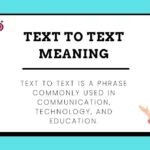 Text to Text Meaning