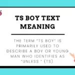 TS Boy Text Meaning