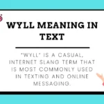 Wyll Meaning in Text